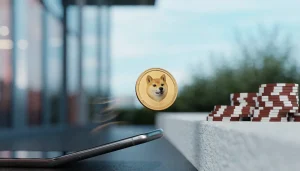 Svenska casinon med Dogecoin: betalning och villkor